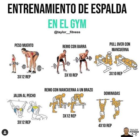 espalda trabajada mujer|Los mejores ejercicios de espalda de mujer para casa y gym